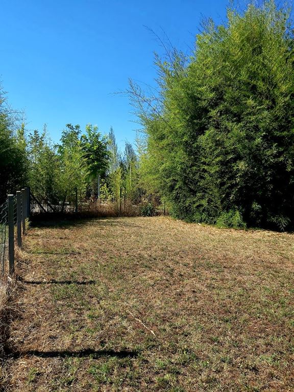 Terrain BERGERAC 46500€ RICHARD Robert IMMOBILIER Terrain BERGERAC 46500€ RICHARD Robert IMMOBILIER